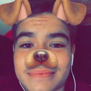 Meet your Posher, Josue